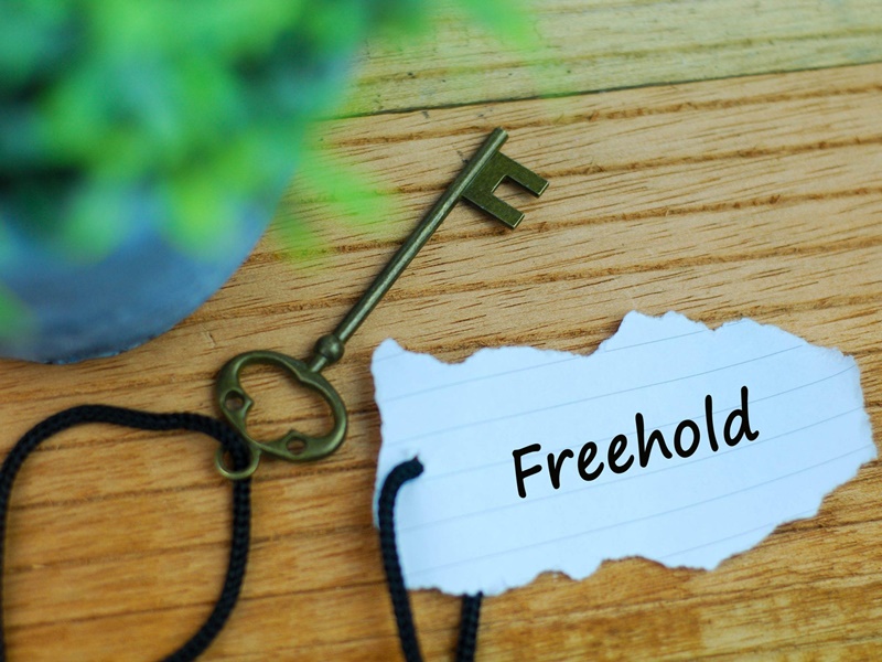Freehold